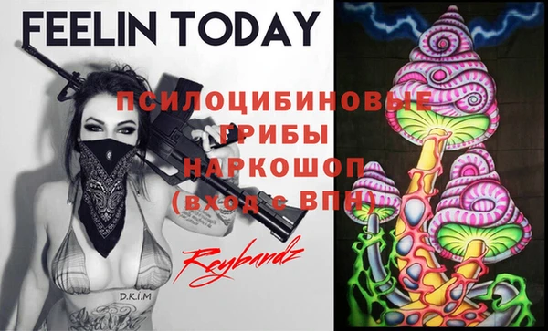 сатива Алексин