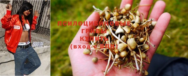 каннабис Алзамай