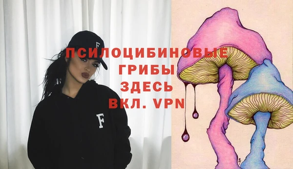 каннабис Алзамай
