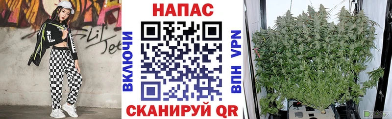 Канабис AK-47  hydra как зайти  Кириши 